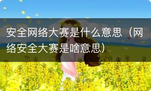 安全网络大赛是什么意思（网络安全大赛是啥意思）