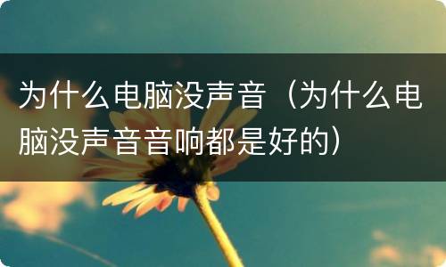 为什么电脑没声音（为什么电脑没声音音响都是好的）