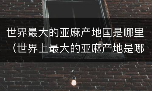 世界最大的亚麻产地国是哪里（世界上最大的亚麻产地是哪儿?）