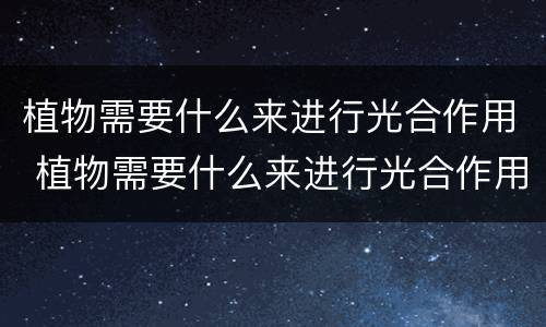 植物需要什么来进行光合作用 植物需要什么来进行光合作用呢