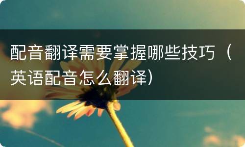 配音翻译需要掌握哪些技巧（英语配音怎么翻译）