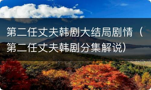 第二任丈夫韩剧大结局剧情（第二任丈夫韩剧分集解说）