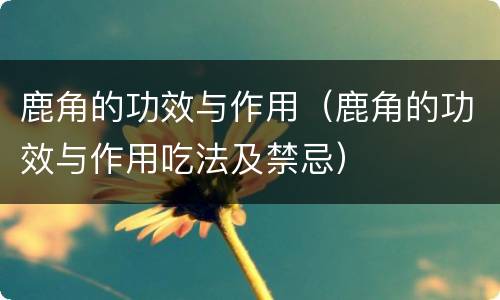 鹿角的功效与作用（鹿角的功效与作用吃法及禁忌）