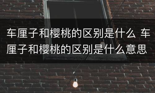 车厘子和樱桃的区别是什么 车厘子和樱桃的区别是什么意思