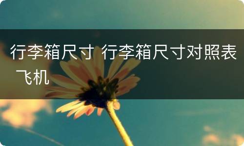 行李箱尺寸 行李箱尺寸对照表 飞机