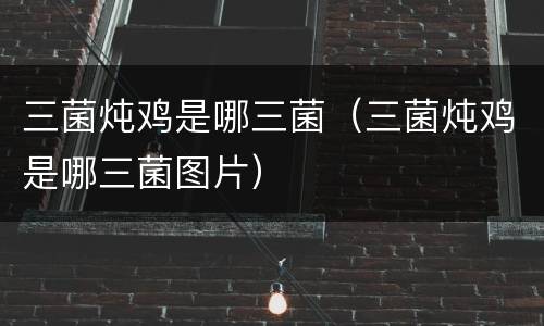 三菌炖鸡是哪三菌（三菌炖鸡是哪三菌图片）