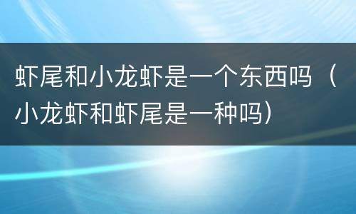 虾尾和小龙虾是一个东西吗（小龙虾和虾尾是一种吗）