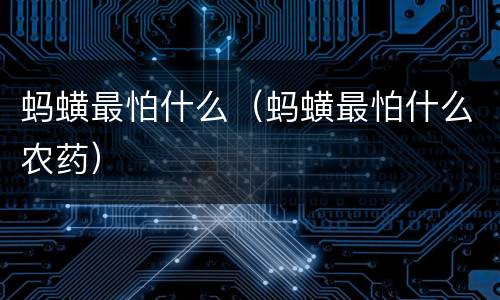 蚂蟥最怕什么（蚂蟥最怕什么农药）