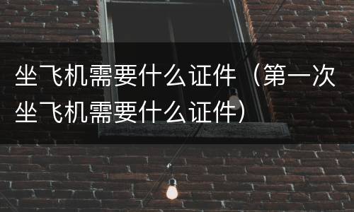 坐飞机需要什么证件（第一次坐飞机需要什么证件）