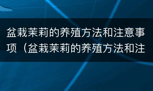 盆栽茉莉的养殖方法和注意事项（盆栽茉莉的养殖方法和注意事项视频）