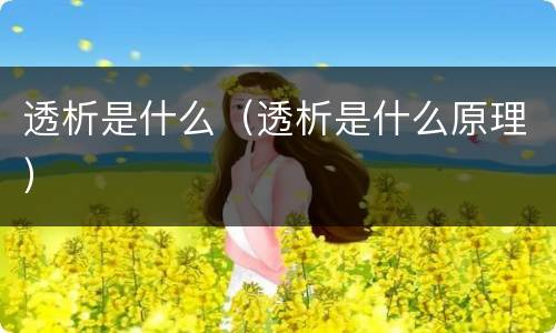 透析是什么（透析是什么原理）