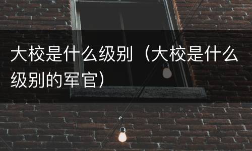 大校是什么级别（大校是什么级别的军官）