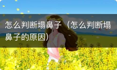 怎么判断塌鼻子（怎么判断塌鼻子的原因）