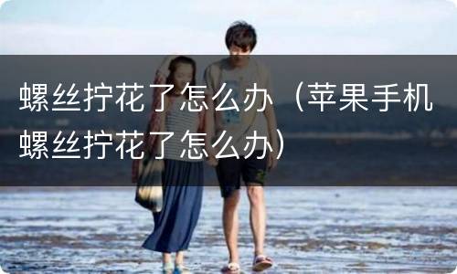螺丝拧花了怎么办（苹果手机螺丝拧花了怎么办）