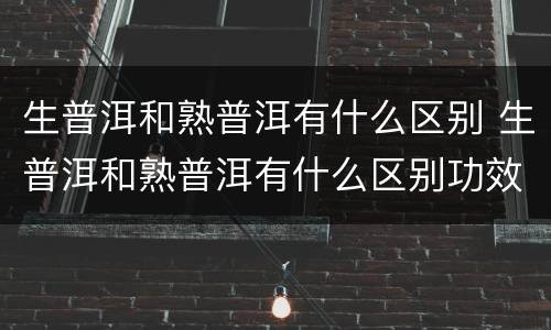 生普洱和熟普洱有什么区别 生普洱和熟普洱有什么区别功效