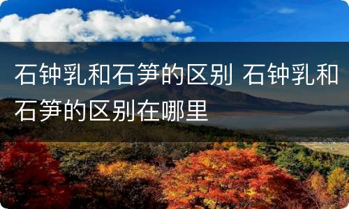 石钟乳和石笋的区别 石钟乳和石笋的区别在哪里