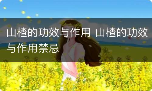 山楂的功效与作用 山楂的功效与作用禁忌