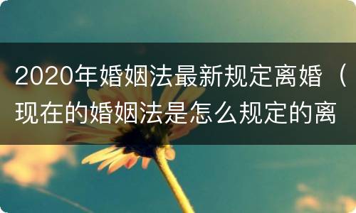 2020年婚姻法最新规定离婚（现在的婚姻法是怎么规定的离婚）