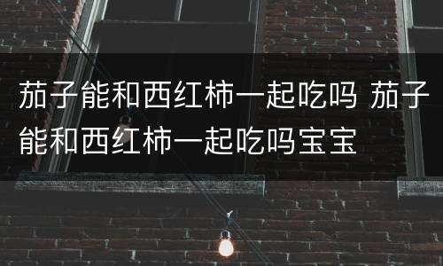 茄子能和西红柿一起吃吗 茄子能和西红柿一起吃吗宝宝