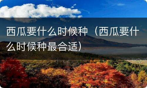 西瓜要什么时候种（西瓜要什么时候种最合适）