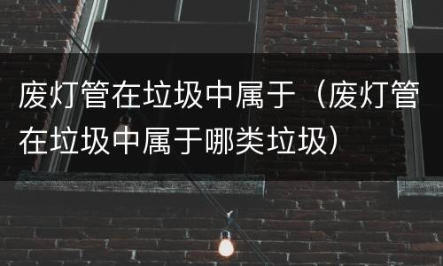 废灯管在垃圾中属于（废灯管在垃圾中属于哪类垃圾）