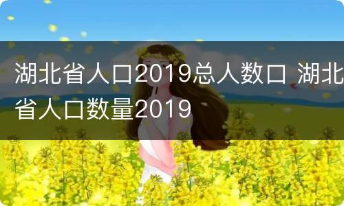 湖北省人口2019总人数口 湖北省人口数量2019