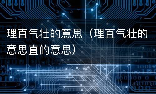 理直气壮的意思（理直气壮的意思直的意思）