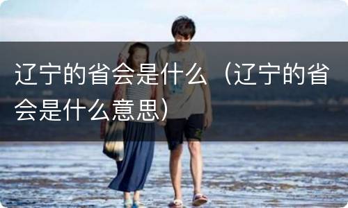 辽宁的省会是什么（辽宁的省会是什么意思）