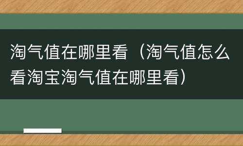 淘气值在哪里看（淘气值怎么看淘宝淘气值在哪里看）