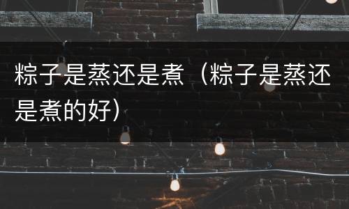 粽子是蒸还是煮（粽子是蒸还是煮的好）