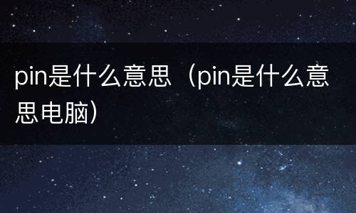 pin是什么意思（pin是什么意思电脑）