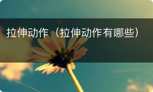 拉伸动作（拉伸动作有哪些）