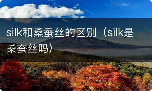silk和桑蚕丝的区别（silk是桑蚕丝吗）