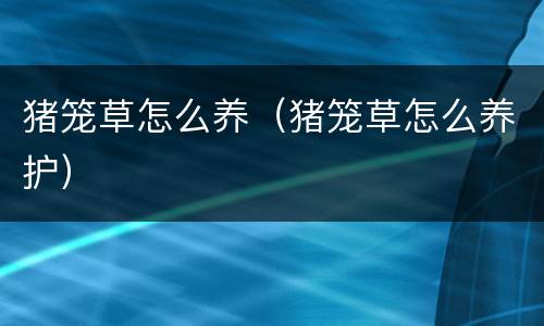 猪笼草怎么养（猪笼草怎么养护）