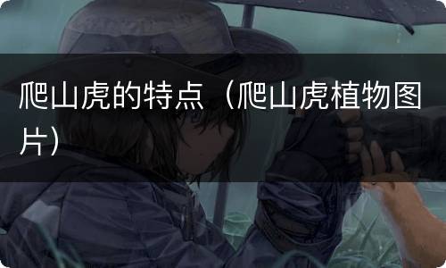 爬山虎的特点（爬山虎植物图片）