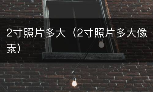 2寸照片多大（2寸照片多大像素）