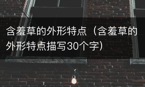 含羞草的外形特点（含羞草的外形特点描写30个字）