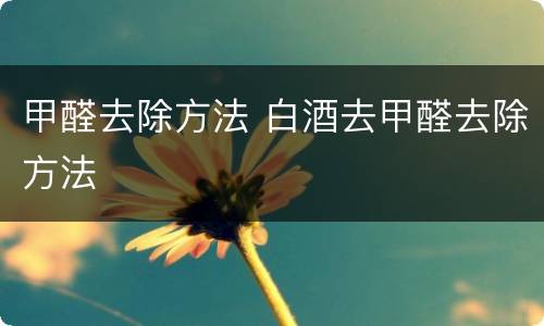 甲醛去除方法 白酒去甲醛去除方法