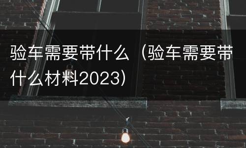 验车需要带什么（验车需要带什么材料2023）
