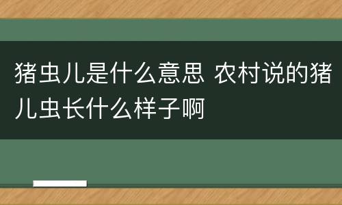 猪虫儿是什么意思 农村说的猪儿虫长什么样子啊