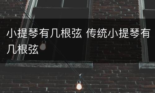 小提琴有几根弦 传统小提琴有几根弦