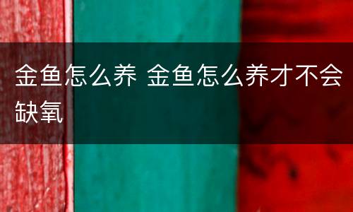 金鱼怎么养 金鱼怎么养才不会缺氧