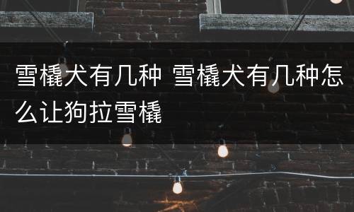 雪橇犬有几种 雪橇犬有几种怎么让狗拉雪橇