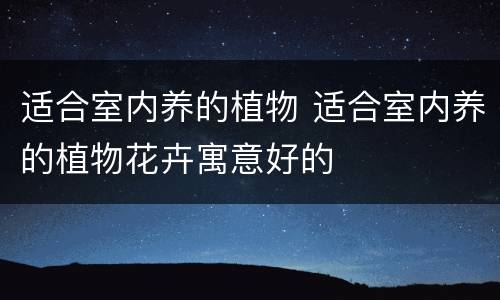 适合室内养的植物 适合室内养的植物花卉寓意好的