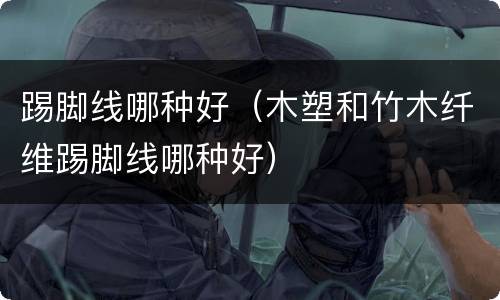 踢脚线哪种好（木塑和竹木纤维踢脚线哪种好）