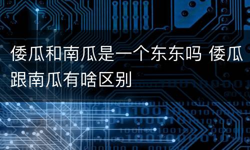 倭瓜和南瓜是一个东东吗 倭瓜跟南瓜有啥区别