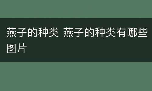 燕子的种类 燕子的种类有哪些图片