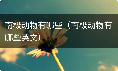 南极动物有哪些（南极动物有哪些英文）