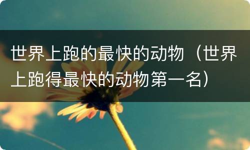 世界上跑的最快的动物（世界上跑得最快的动物第一名）
