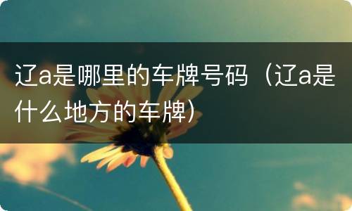 辽a是哪里的车牌号码（辽a是什么地方的车牌）